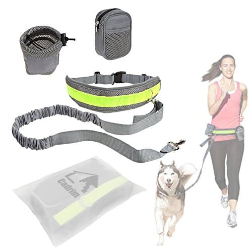 Kit laisse / ceinture pour courir avec ton chien