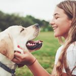 Assurance Labrador : nos conseils pour assurer votre chien