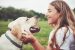 Assurance Labrador : nos conseils pour assurer votre chien