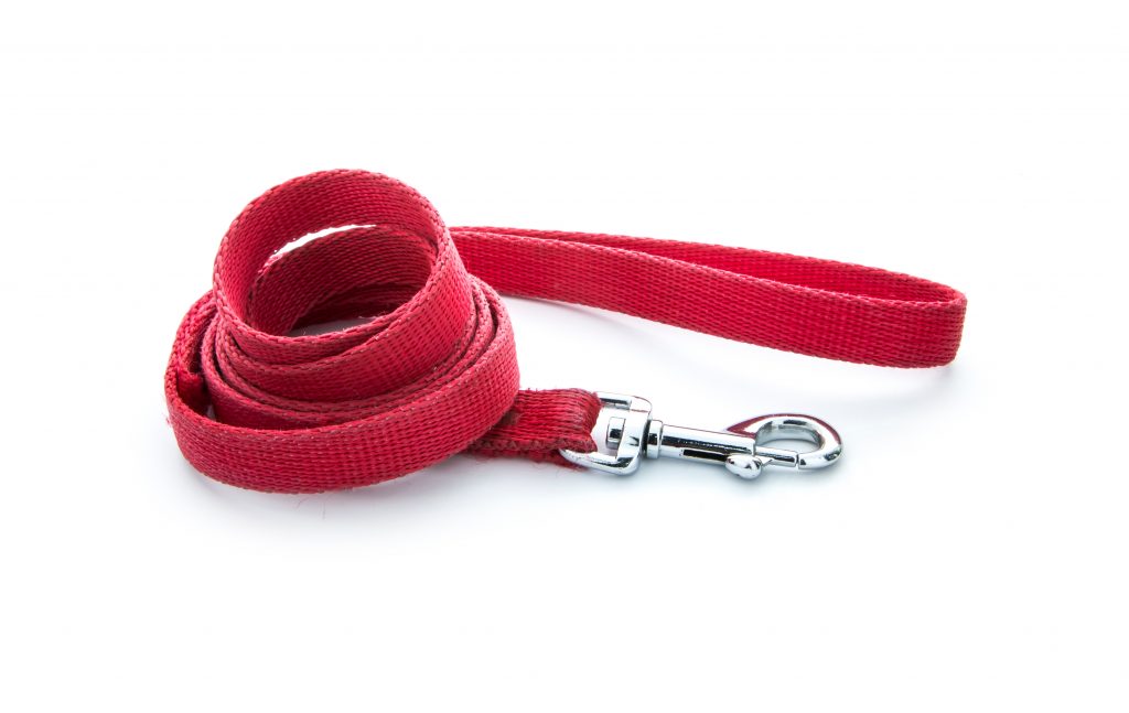 Laisse standard pour chien rouge