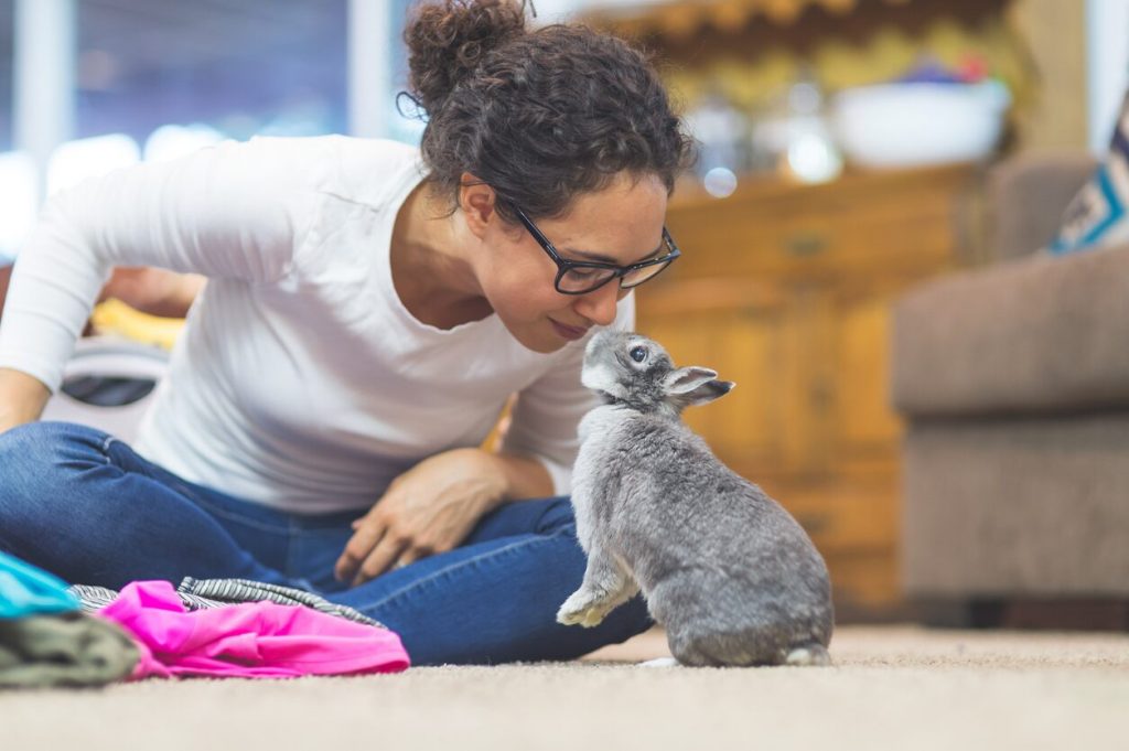 Comportement du lapin nain et signes