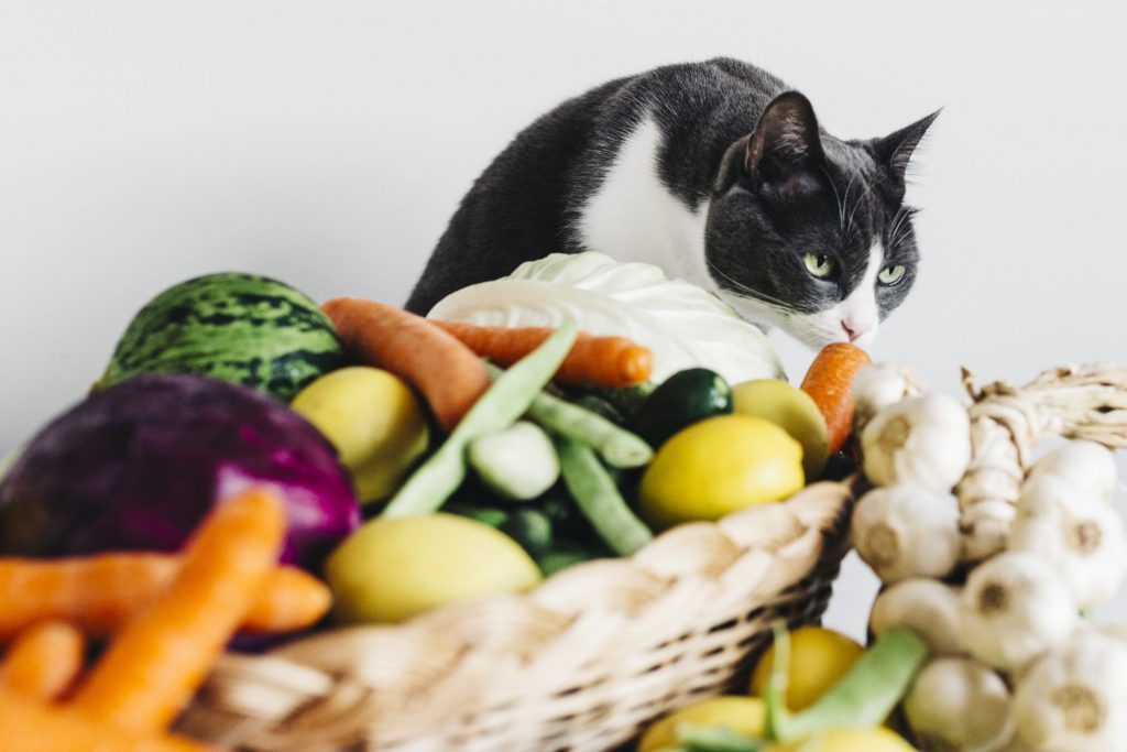 Légumes du chat