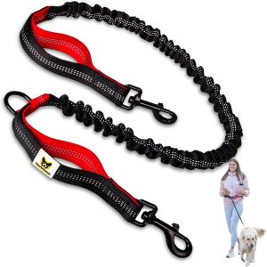Ligne de trait pour chien