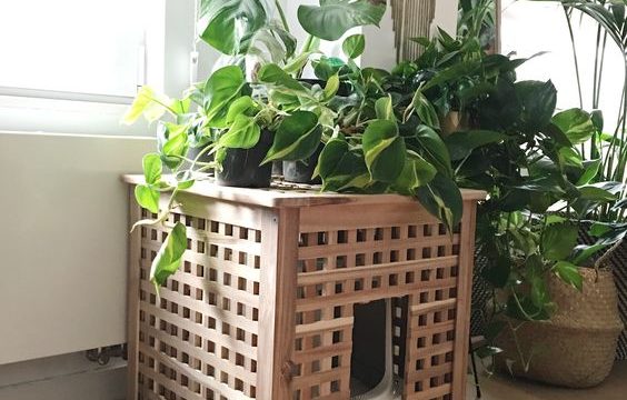 Cacher la litière du chat : Top 7 idées à connaître