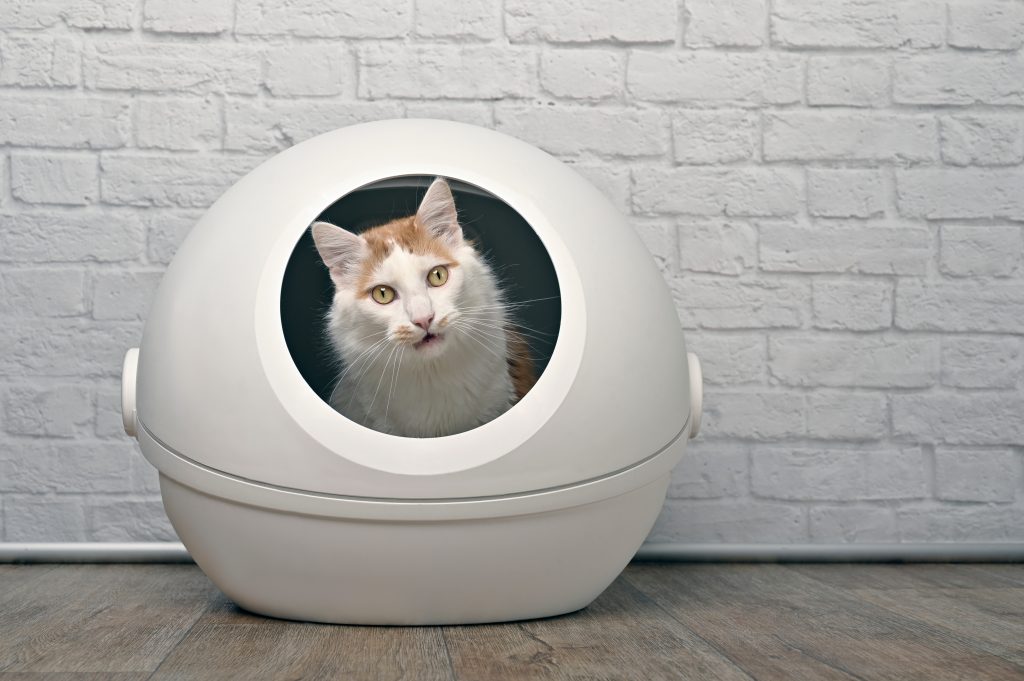 Bac à litière automatique pour chat