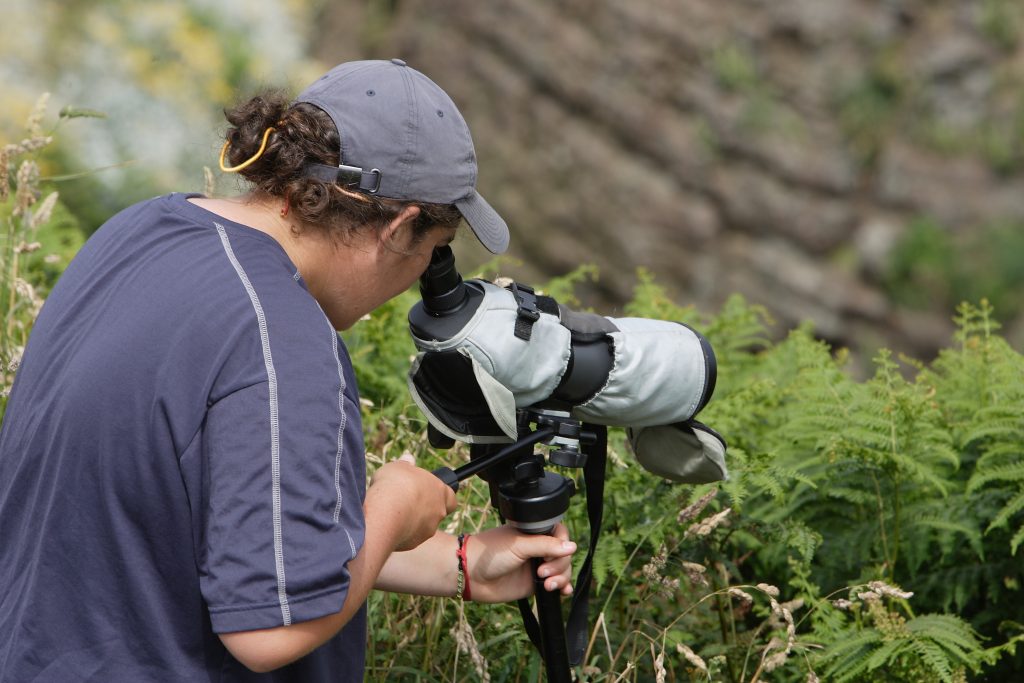 Observation de la faune avec une longue vue
