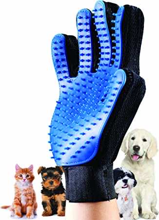 Gant pour retirer les poils de chiens