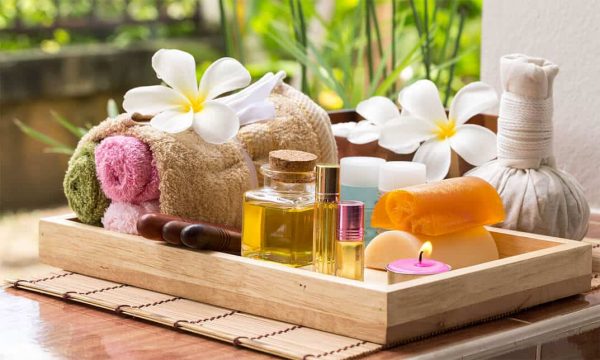 5 médecines naturelles pour votre chien