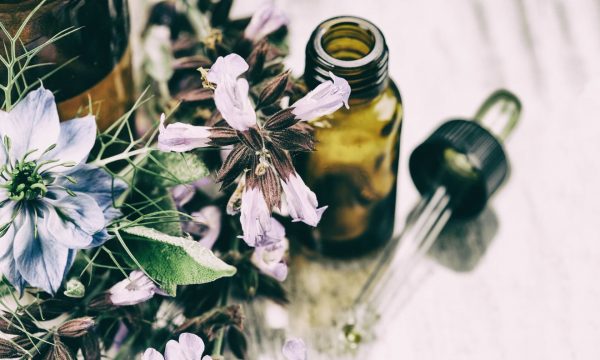 6 médecines naturelles pour la santé de son chat
