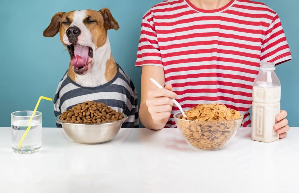 chien à table avec enfant