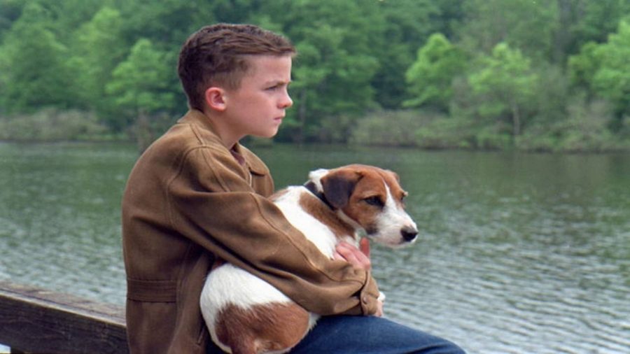 Les 12 meilleurs films avec des chiens