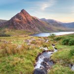 Quels animaux voir à Snowdonia ?