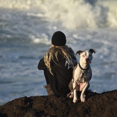 Voyager à l’étranger avec son chien : nos conseils pour voyager