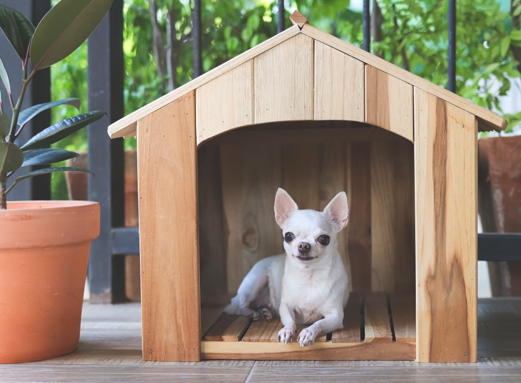 Niche d'intérieur pour chien