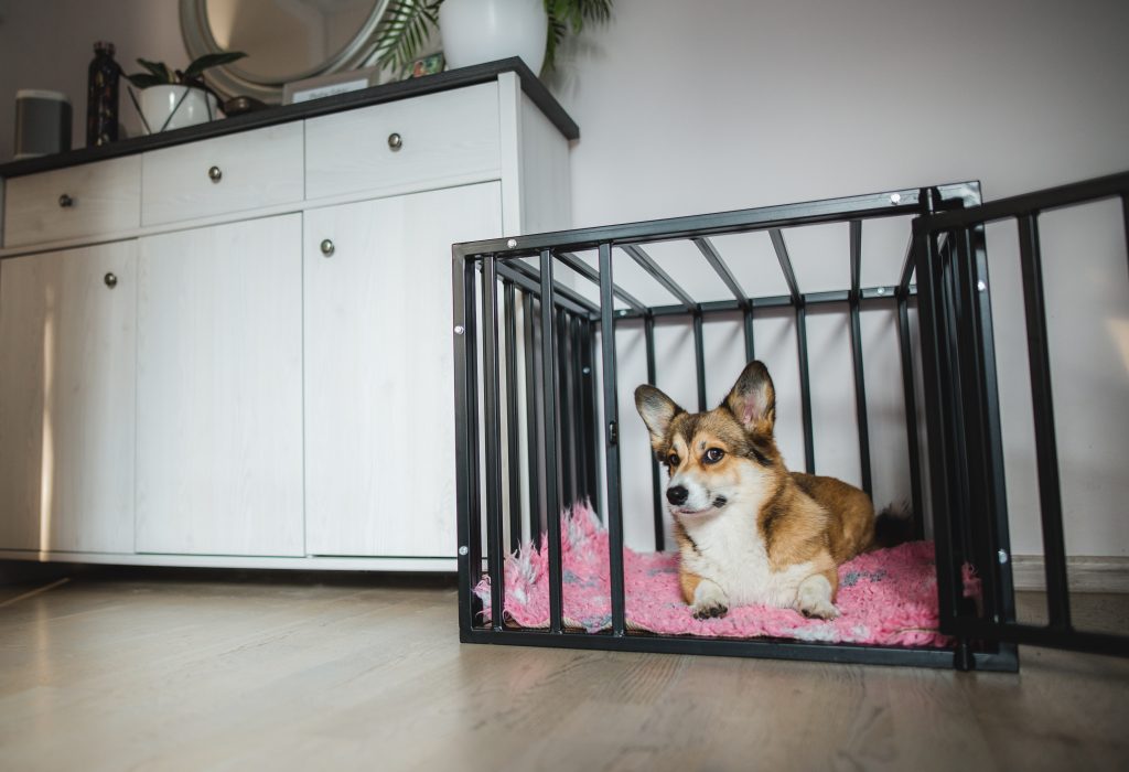 Niche pour chien d'intérieur