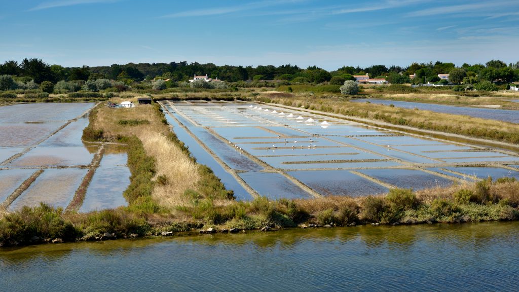 Noirmoutiers, Loire