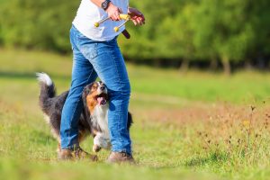Pratiquer l&rsquo;obé-rythmée avec son chien