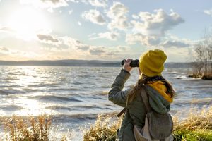 Top 5 des accessoires pour observer la faune