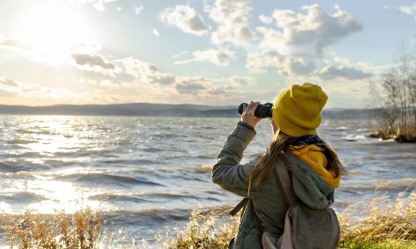 Top 5 des accessoires pour observer la faune