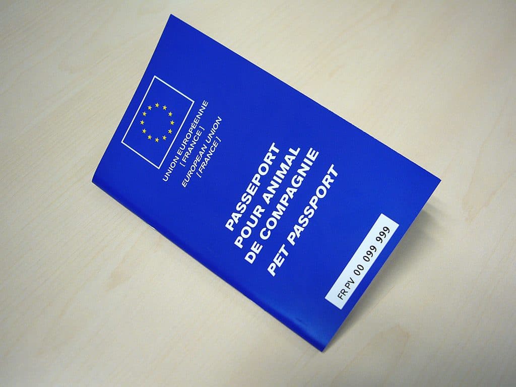 Passeport européen du chien