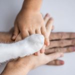 Animaux et troubles du voisinage : que dit la loi ?