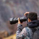 Photographie Animalière : techniques pour réussir ses photos