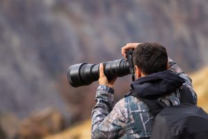 Photographie Animalière : techniques pour réussir ses photos
