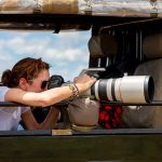 Comment photographier les animaux en Safari ?