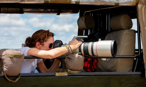 Comment photographier les animaux en Safari ?