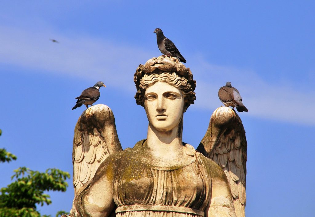 Oiseau sur une statue en France