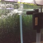 Pompe d’aquarium : laquelle choisir ?