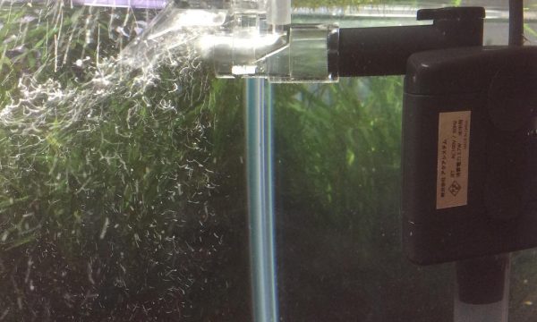 Pompe d’aquarium : laquelle choisir ?