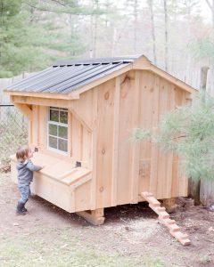 Comment installer un poulailler à la maison ?
