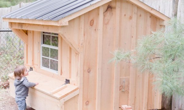 Comment installer un poulailler à la maison ?
