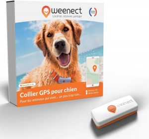 Collier GPS Weenect pour chien