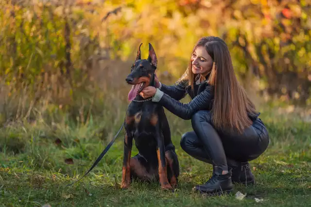 Photo Dobermann #2