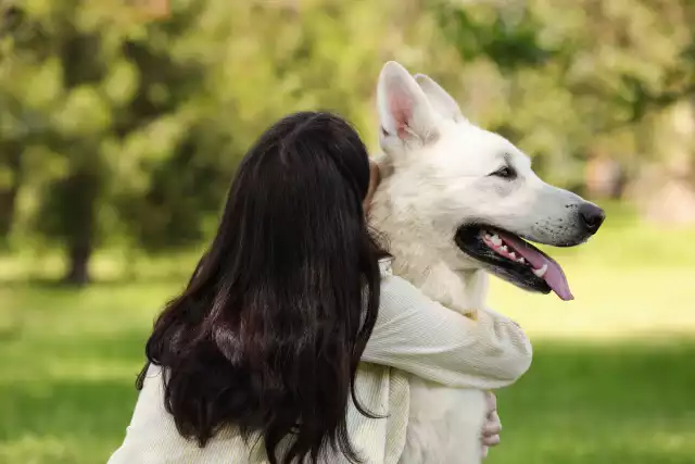 Photo Berger Blanc Suisse #2