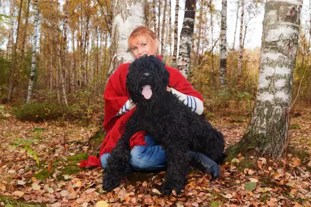 Photo Terrier Noir Russe #2