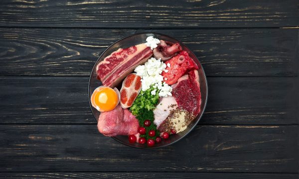 Raw Feeding : alimentation pour chien