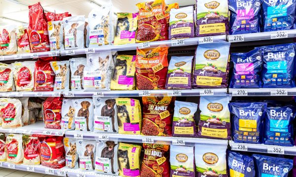 Quelles croquettes choisir pour son chien ?