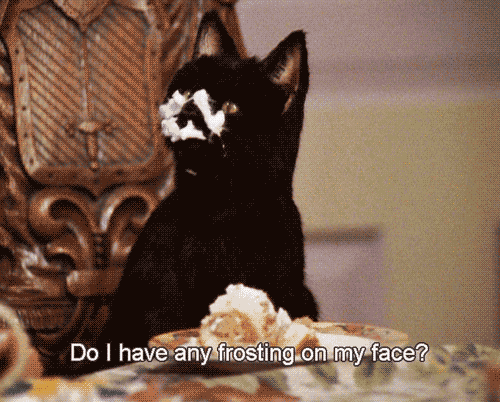 Salem chat noir Sabrina