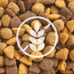 Nourrir son chien avec des croquettes sans céréales