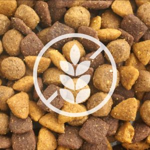 Nourrir son chien avec des croquettes sans céréales