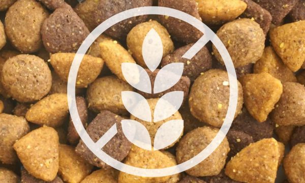 Nourrir son chien avec des croquettes sans céréales