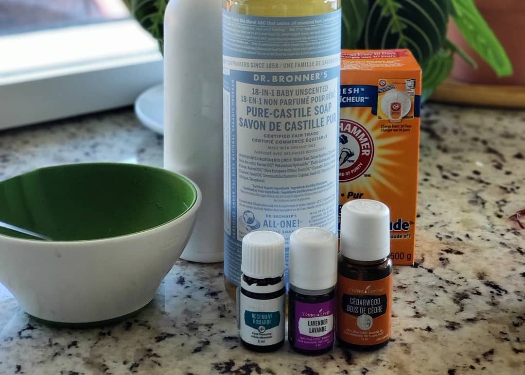 Shampooing maison pour chien : 4 recettes naturelles - Santé du 
