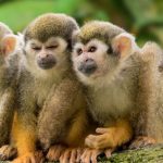 Une journée hors du temps : explorez des lieux où la nature vous parle