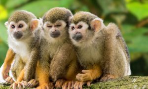 Une journée hors du temps : explorez des lieux où la nature vous parle