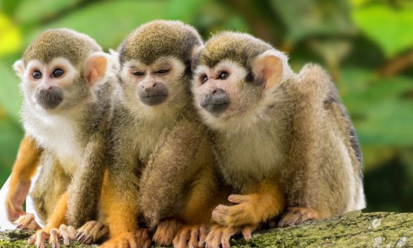 Une journée hors du temps : explorez des lieux où la nature vous parle
