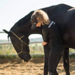 Ostéopathie équine : effets et bienfaits