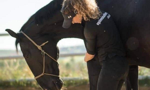 Ostéopathie équine : effets et bienfaits